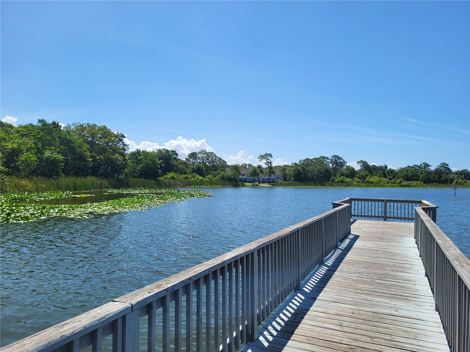 LAKE ST GEORGE UNIT VIII-A - Residential