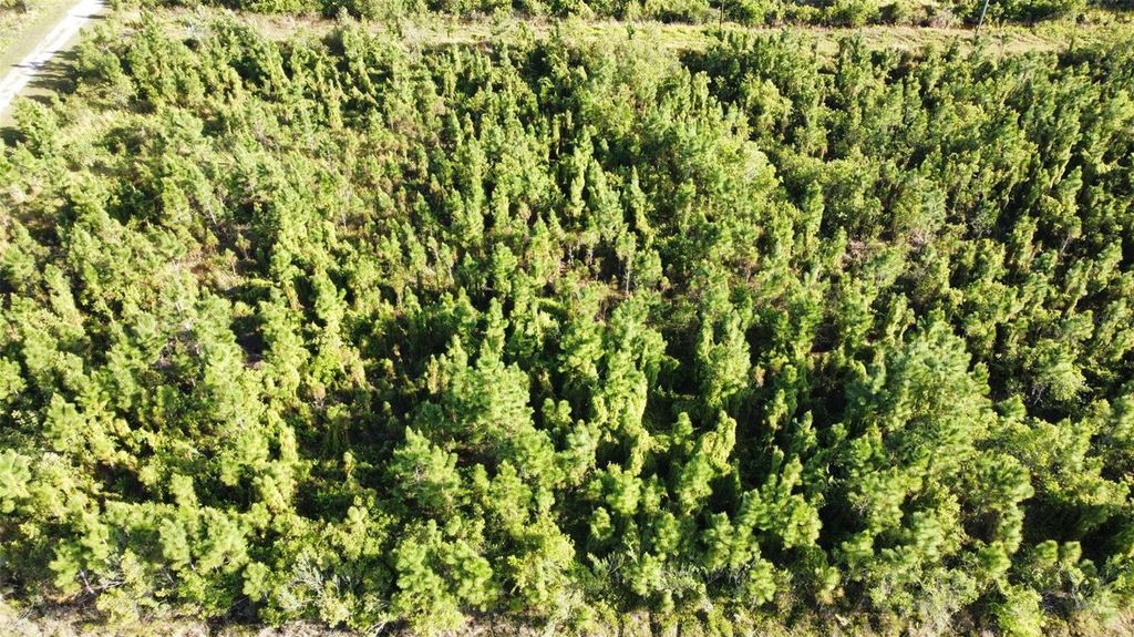 Photo of 22 Laguna Drive, Indian Lake Estates, FL 33855 (MLS # O6301280)