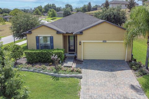 A home in MOUNT DORA