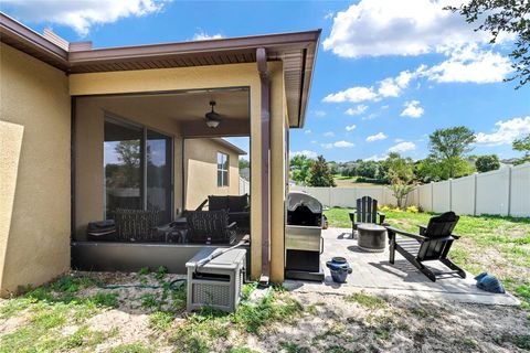 A home in MOUNT DORA