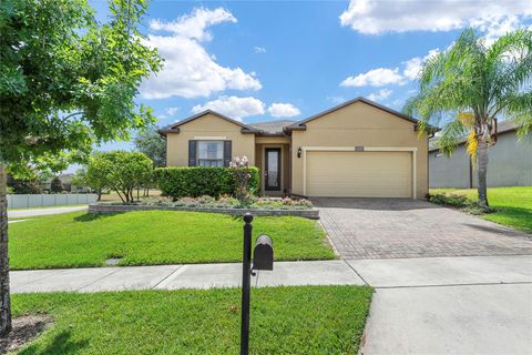 A home in MOUNT DORA