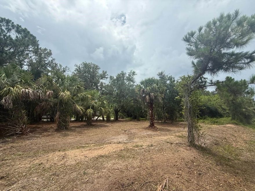 Just under quarter acre lot in a low-density neighborhood in beautiful Sarasota County! The lot was recently mulched and is in prime condition for its new owners! Please verify with county zoning and planning to obtain more information on building requirements and permissions.