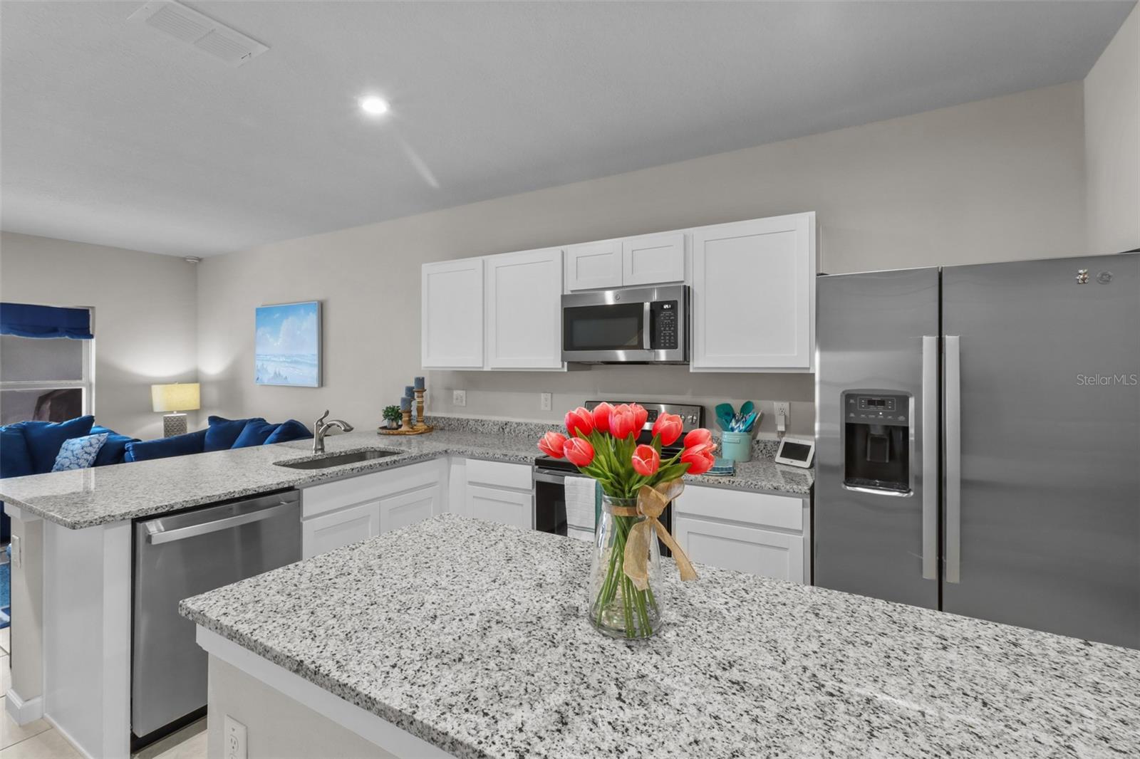 ANCLOTE SQUARE - Residential