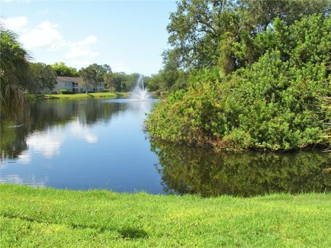 A home in BRADENTON