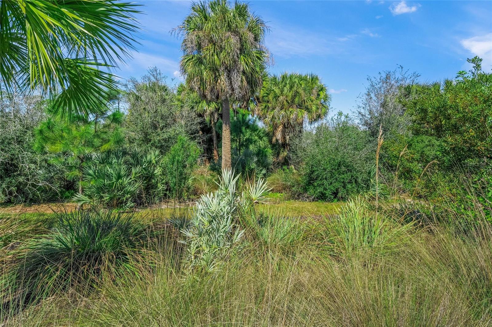 GRAND PARK - Residential