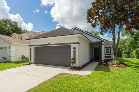 A home in LITHIA