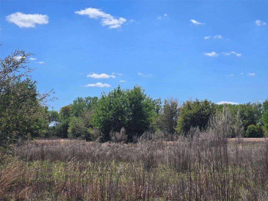 Photo of 70 Highway NW, Arcadia, FL 34266 (MLS # C7523757)