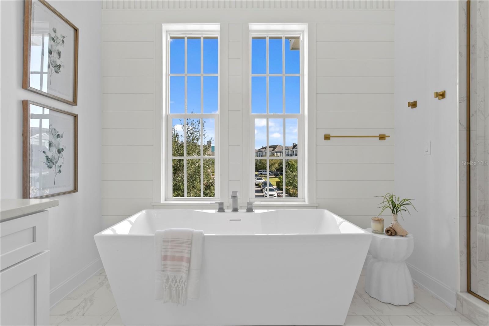 BACK BAY AT CARILLON - Residential