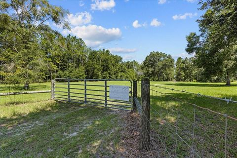 Tiny photo for 631 NW 172nd Lane, Trenton, FL 32693 (MLS # GC532597)