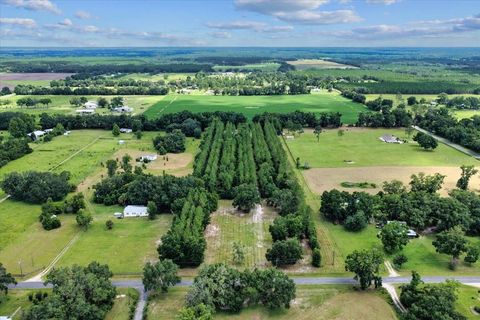 Tiny photo for 631 NW 172nd Lane, Trenton, FL 32693 (MLS # GC532597)