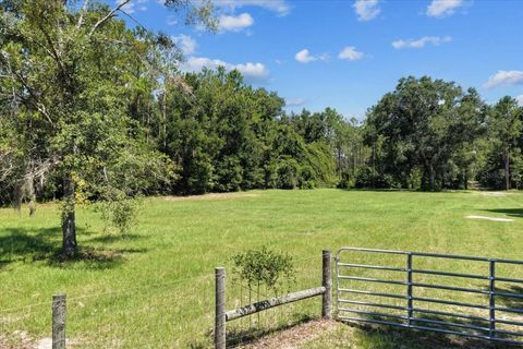 Tiny photo for 631 NW 172nd Lane, Trenton, FL 32693 (MLS # GC532597)