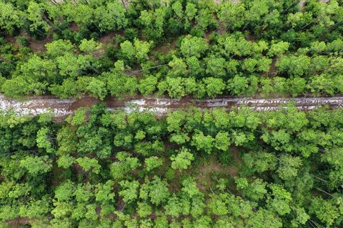Tiny photo for 631 NW 172nd Lane, Trenton, FL 32693 (MLS # GC532597)