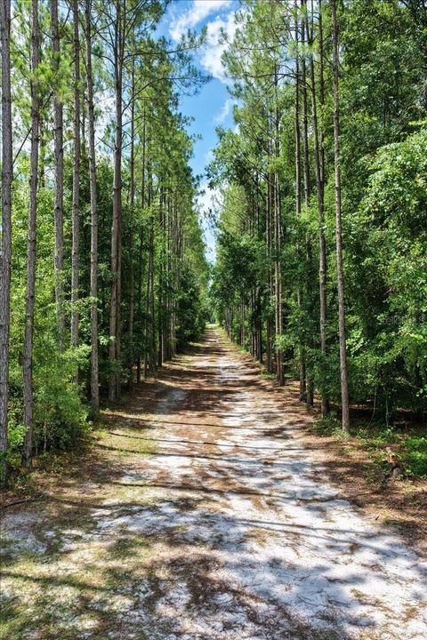 Tiny photo for 631 NW 172nd Lane, Trenton, FL 32693 (MLS # GC532597)