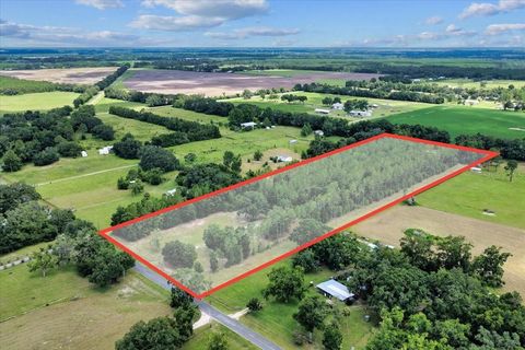 Tiny photo for 631 NW 172nd Lane, Trenton, FL 32693 (MLS # GC532597)