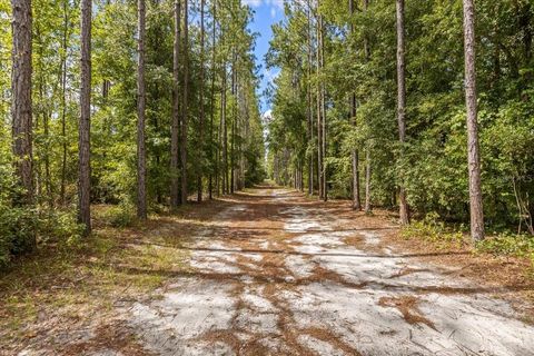 Tiny photo for 631 NW 172nd Lane, Trenton, FL 32693 (MLS # GC532597)