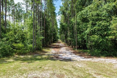 Tiny photo for 631 NW 172nd Lane, Trenton, FL 32693 (MLS # GC532597)