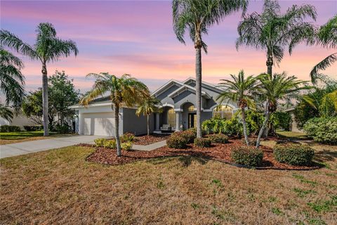Photo of 9821 Balsaridge Court, Trinity, FL 34655 (MLS # TB8476118)