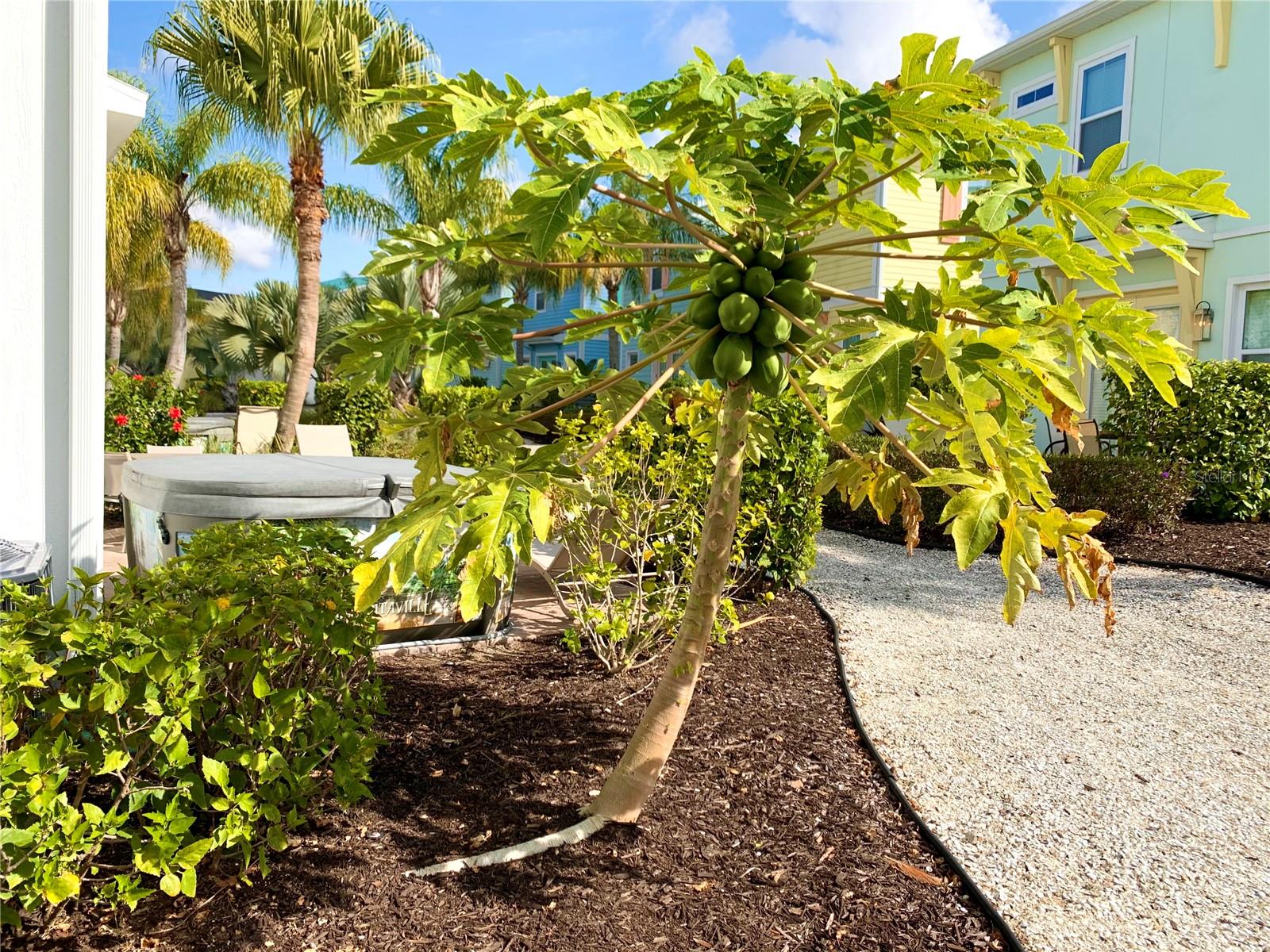 ROLLING OAKS PH 5 - Residential