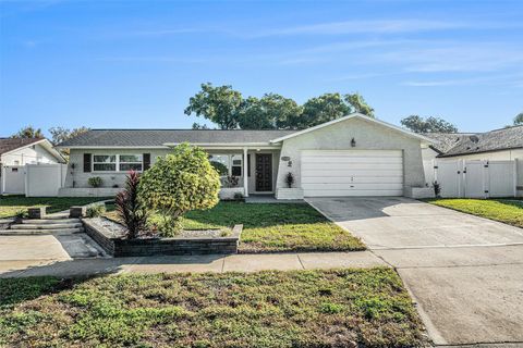 11134 ISLAND PINE DRIVE PORT RICHEY FL 34668
