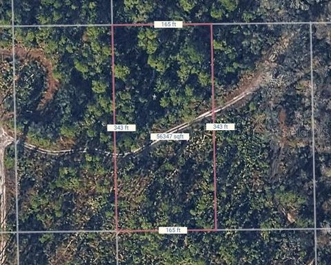 NO NAME DELAND FL 32724