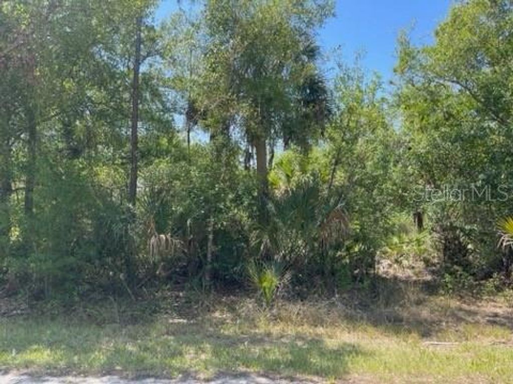 Photo of 23485 Branch Avenue, Port Charlotte, FL 33980 (MLS # C7510173)