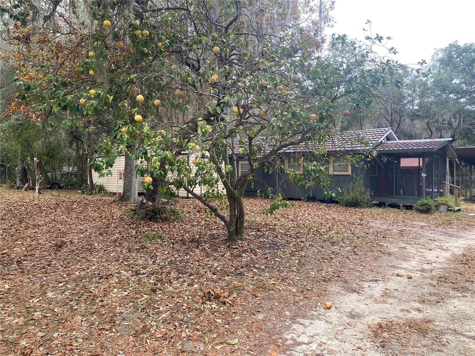 BREEZY PT - Residential