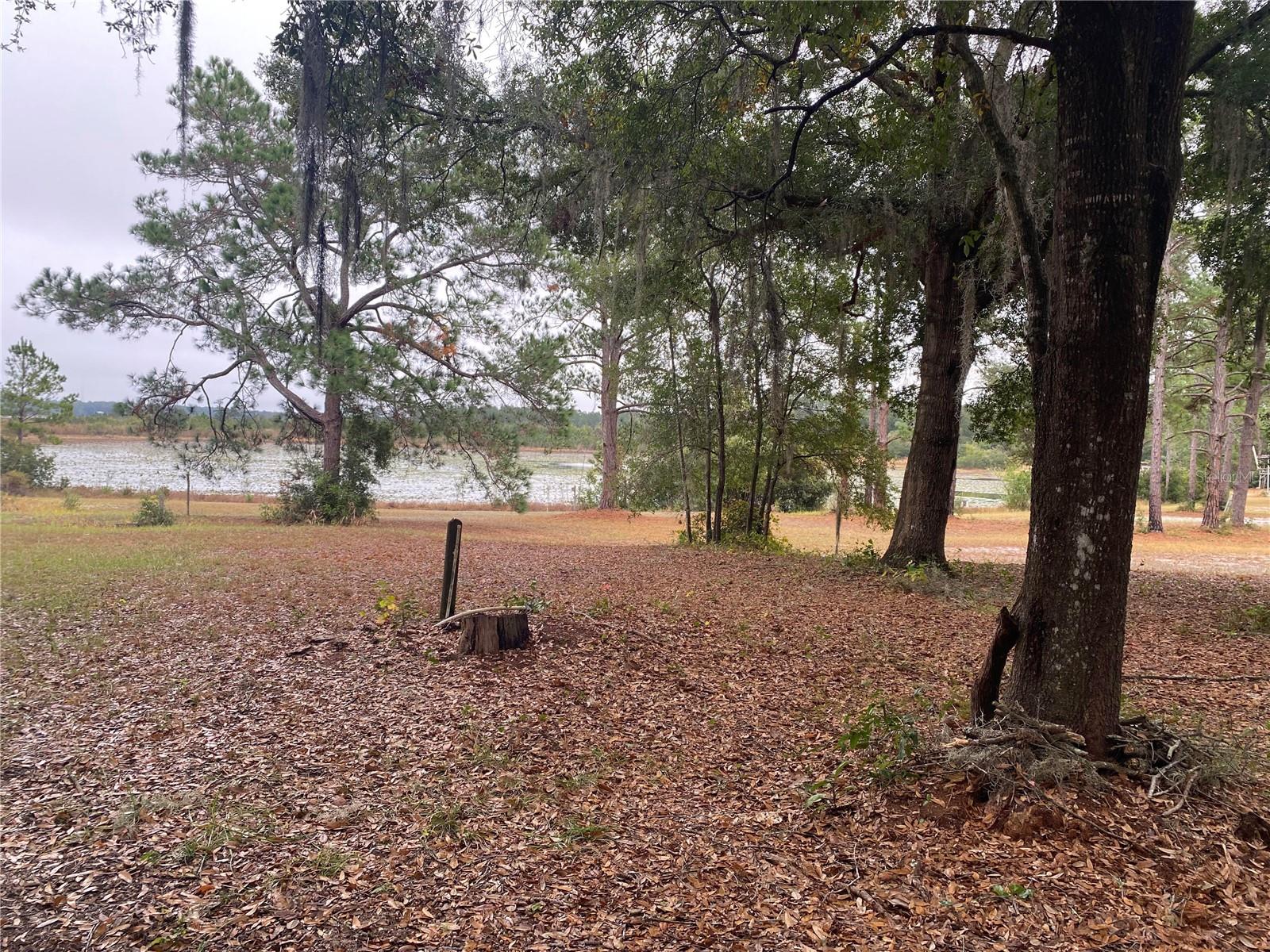 BREEZY PT - Residential