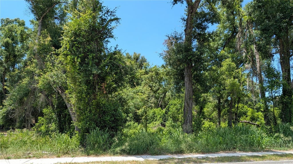 Photo of 9055 Joe Ebert Road, Seffner, FL 33584 (MLS # TB8522943)