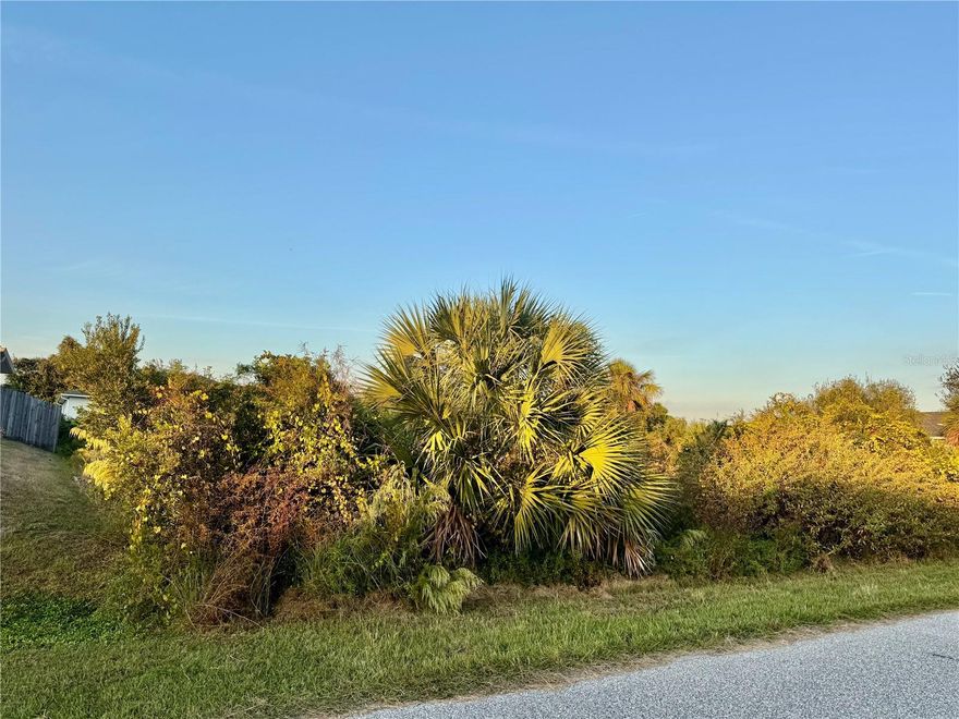 Build Your Dream Home on This Spacious 10,000 Sq Ft Lot!
Discover the perfect opportunity to create your ideal Florida lifestyle on this generous 10,000 sq ft vacant lot, situated in an up-and-coming neighborhood with tremendous potential. Whether you're looking to build your forever home or invest in land for the future, this property offers exceptional convenience and value.
Ideally located just minutes from shopping, dining, and schools, this homesite provides everyday ease while maintaining a peaceful residential feel. Commuters will appreciate the quick and easy access to I-75, allowing you to travel to surrounding cities, beaches, and attractions with ease.
With ample space to design the custom home you’ve always envisioned, this lot is the perfect blank canvas. Take advantage of this opportunity to secure land in a growing area where new homes and development are on the rise.
Don’t miss your chance to own a piece of Florida’s future—start planning your dream home today!