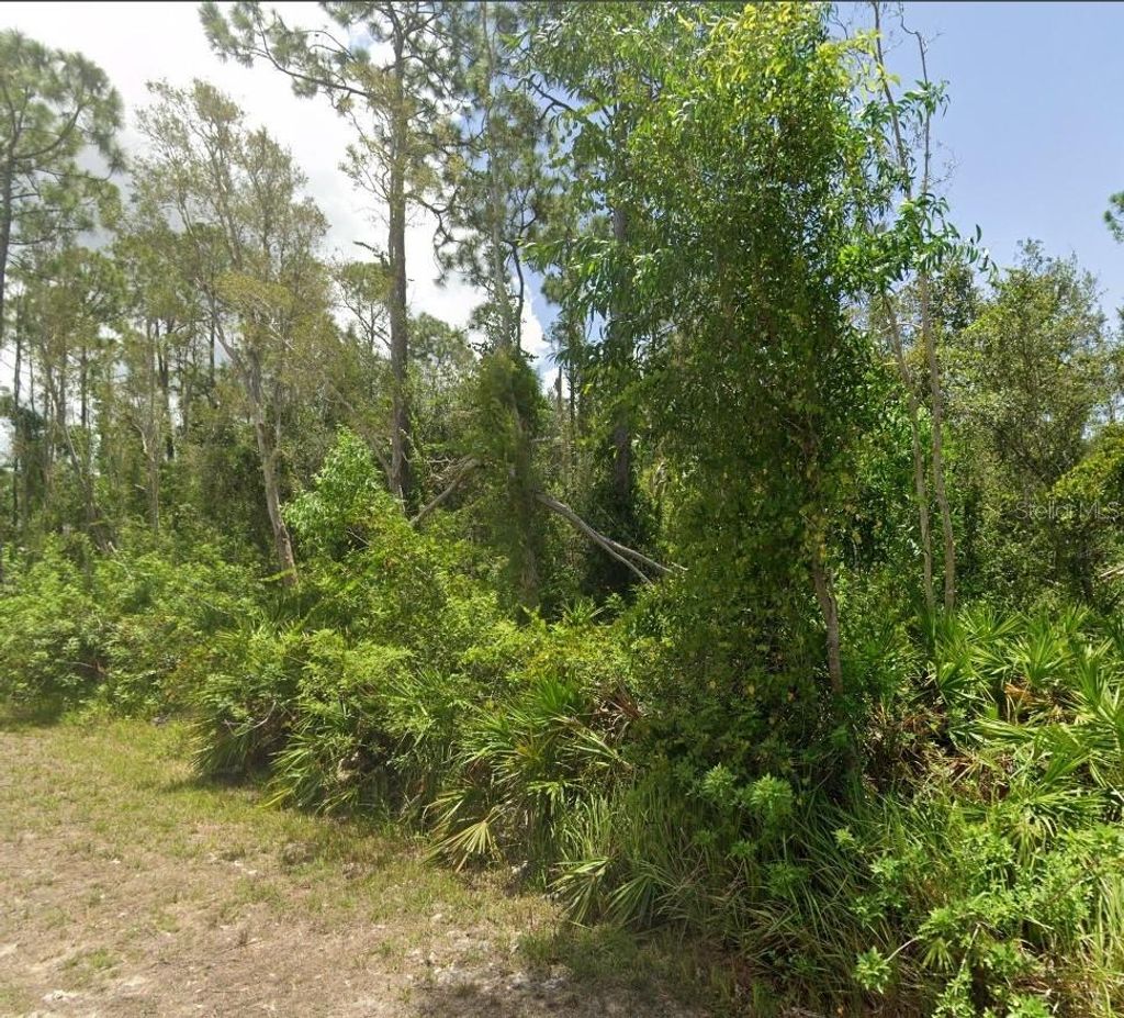 Photo of 27443 N Twin Lakes Drive, Punta Gorda, FL 33955 (MLS # TB8415827)