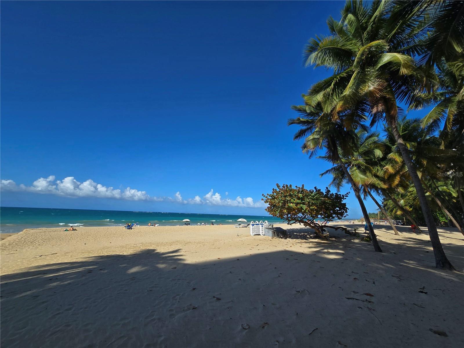 KING´S COURT PLAYA - Residential