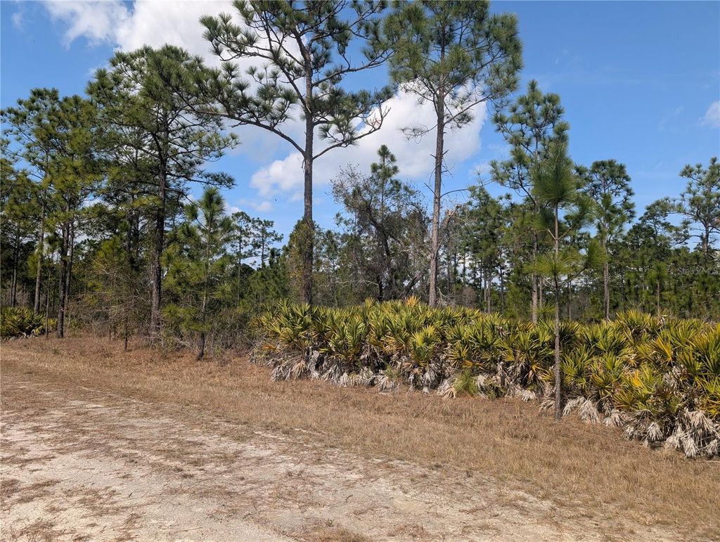 Photo of 614 Alba Drive, Indian Lake Estates, FL 33855 (MLS # P4937893)