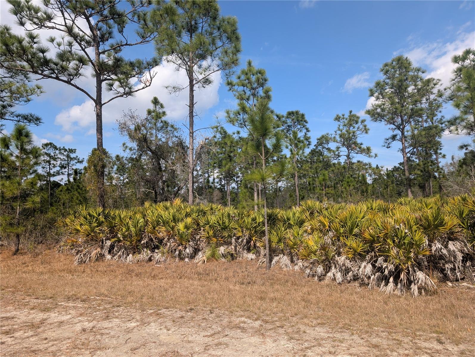 INDIAN LAKE ESTATES - Land