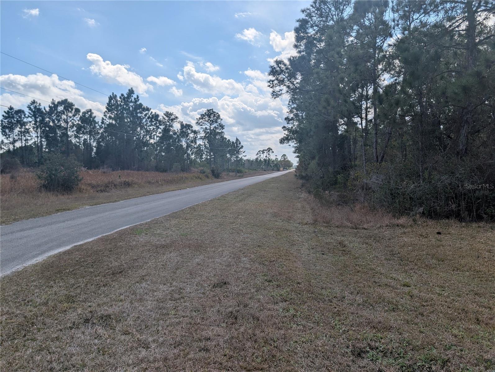 INDIAN LAKE ESTATES - Land