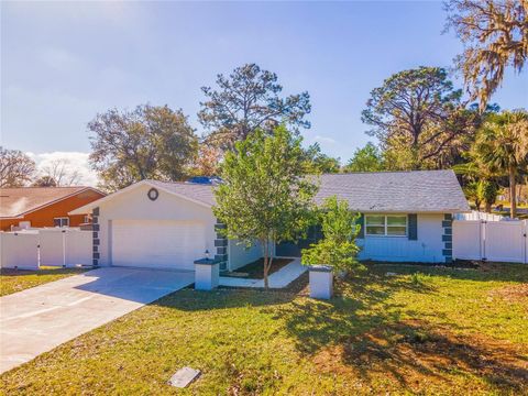 A home in PALM COAST