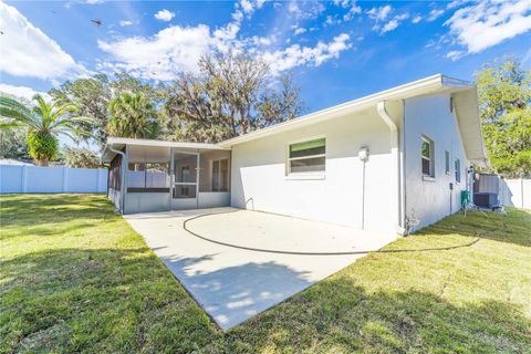 A home in PALM COAST