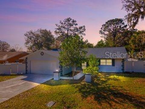 A home in PALM COAST