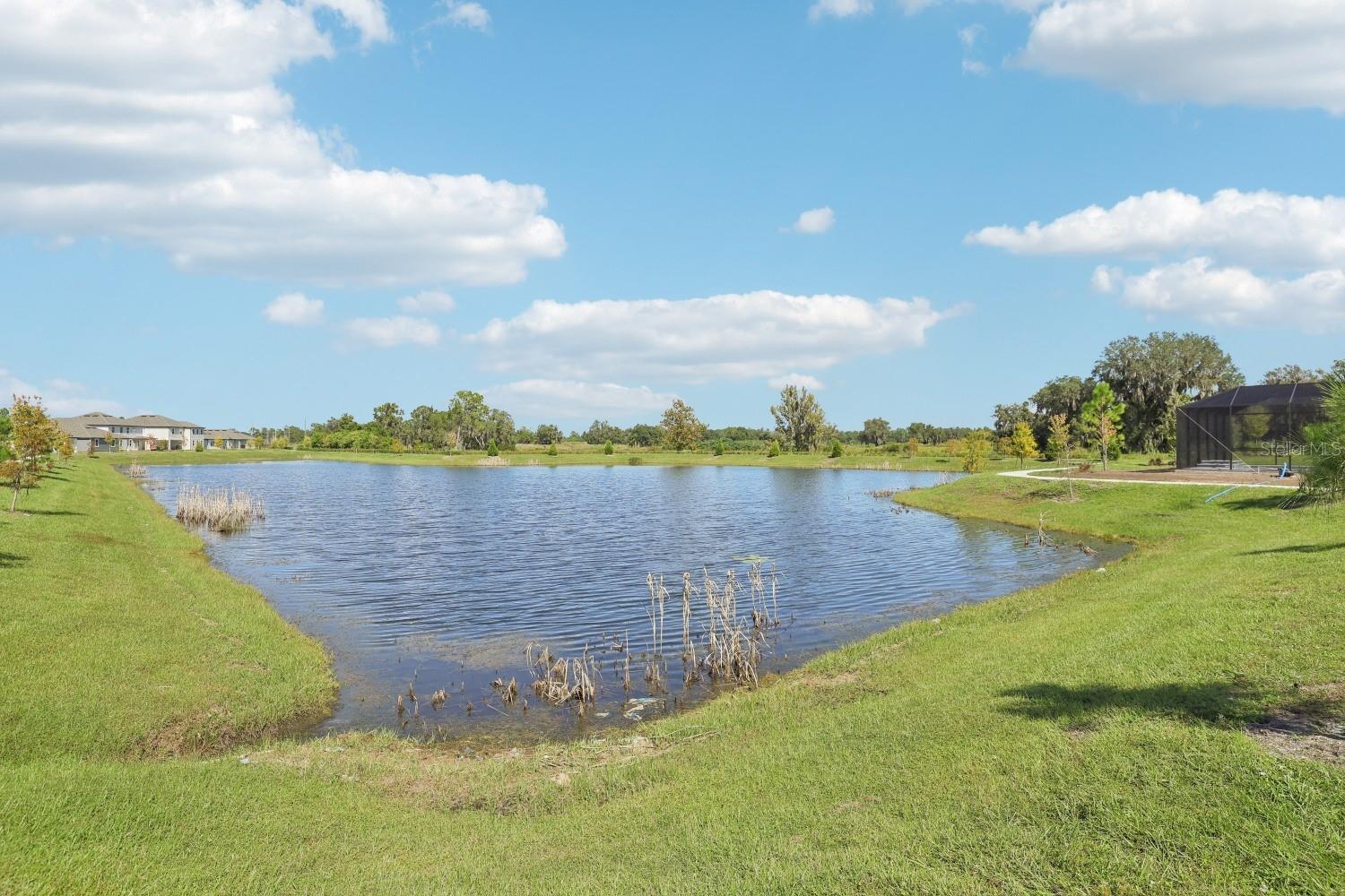 ELLINGTON PLACE - Residential