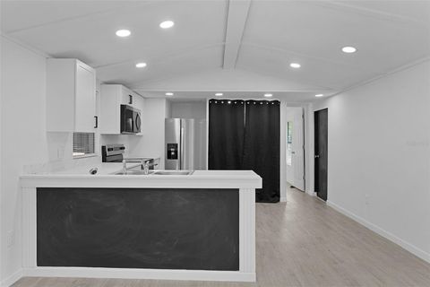 Tiny photo for 33514 Luana Court, Leesburg, FL 34788 (MLS # O6406564)