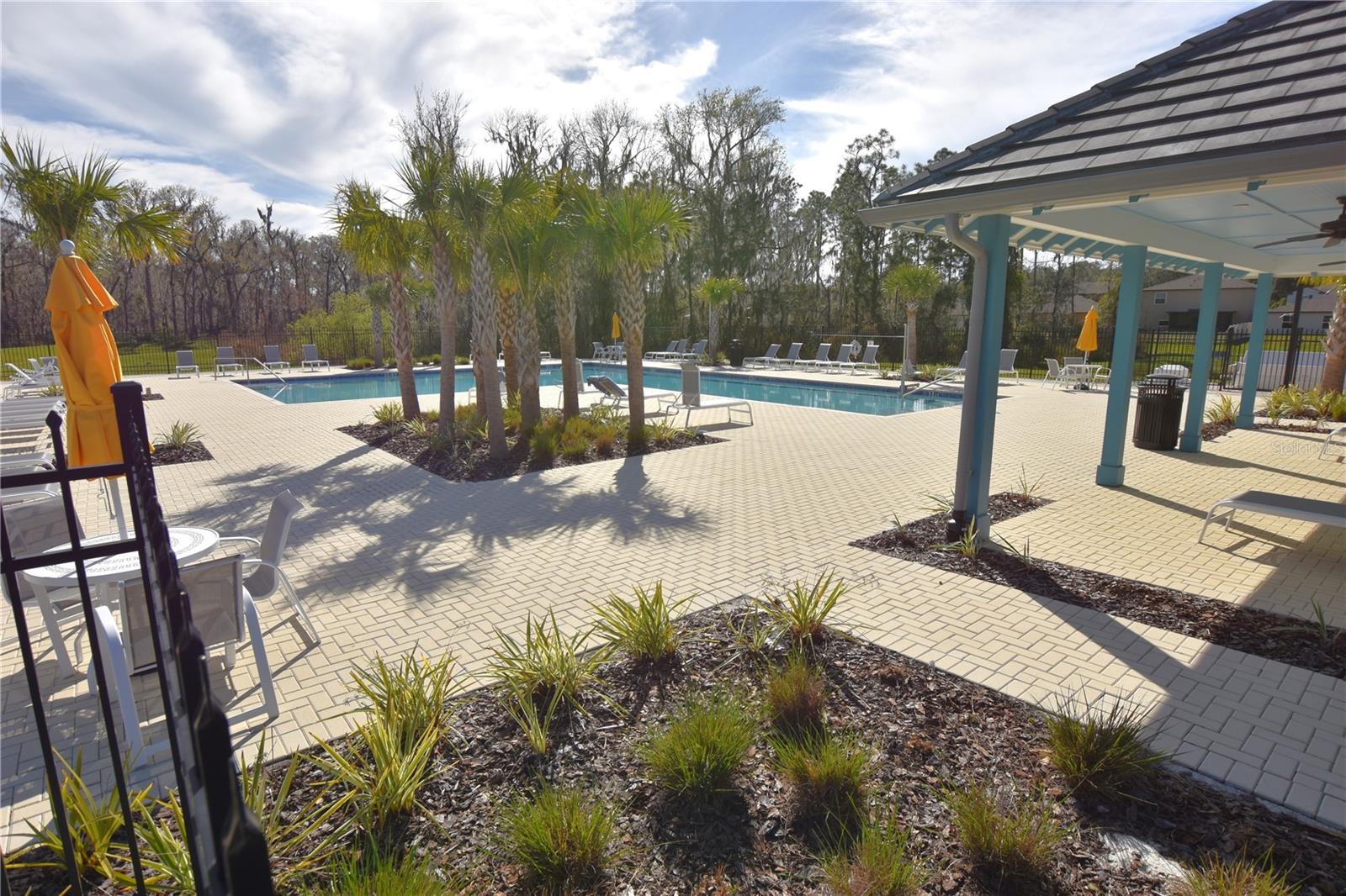 SADDLE CREEK - Residential Lease