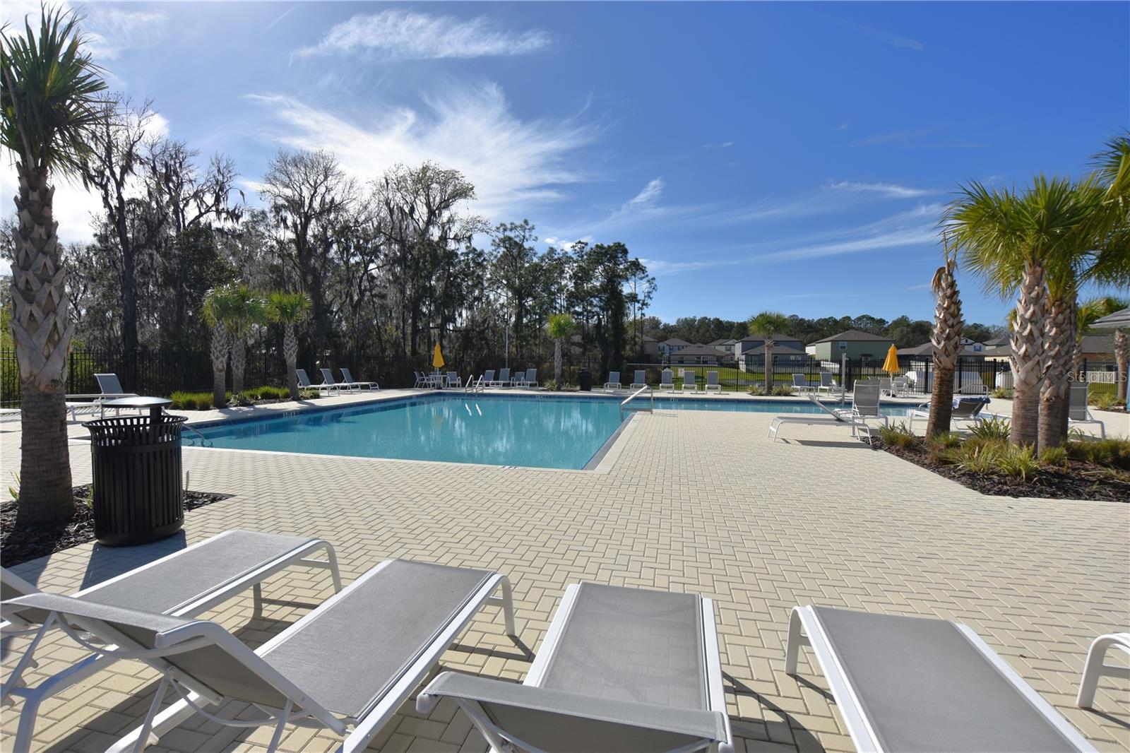 SADDLE CREEK - Residential Lease