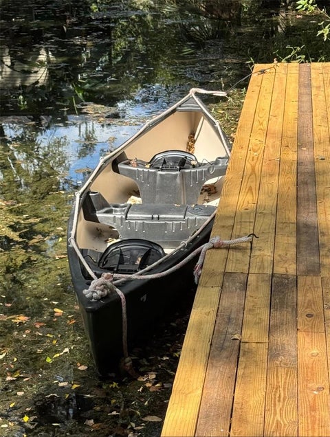 Tiny photo for 896 Cr 485a, Lake Panasoffkee, FL 33538 (MLS # S5158664)
