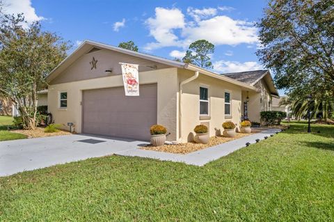 A home in PALM COAST