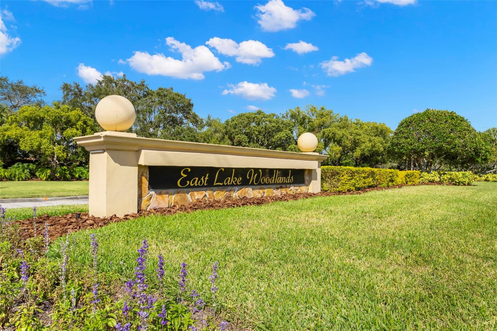 EAST LAKE WOODLANDS CYPRESS ESTATES - Residential