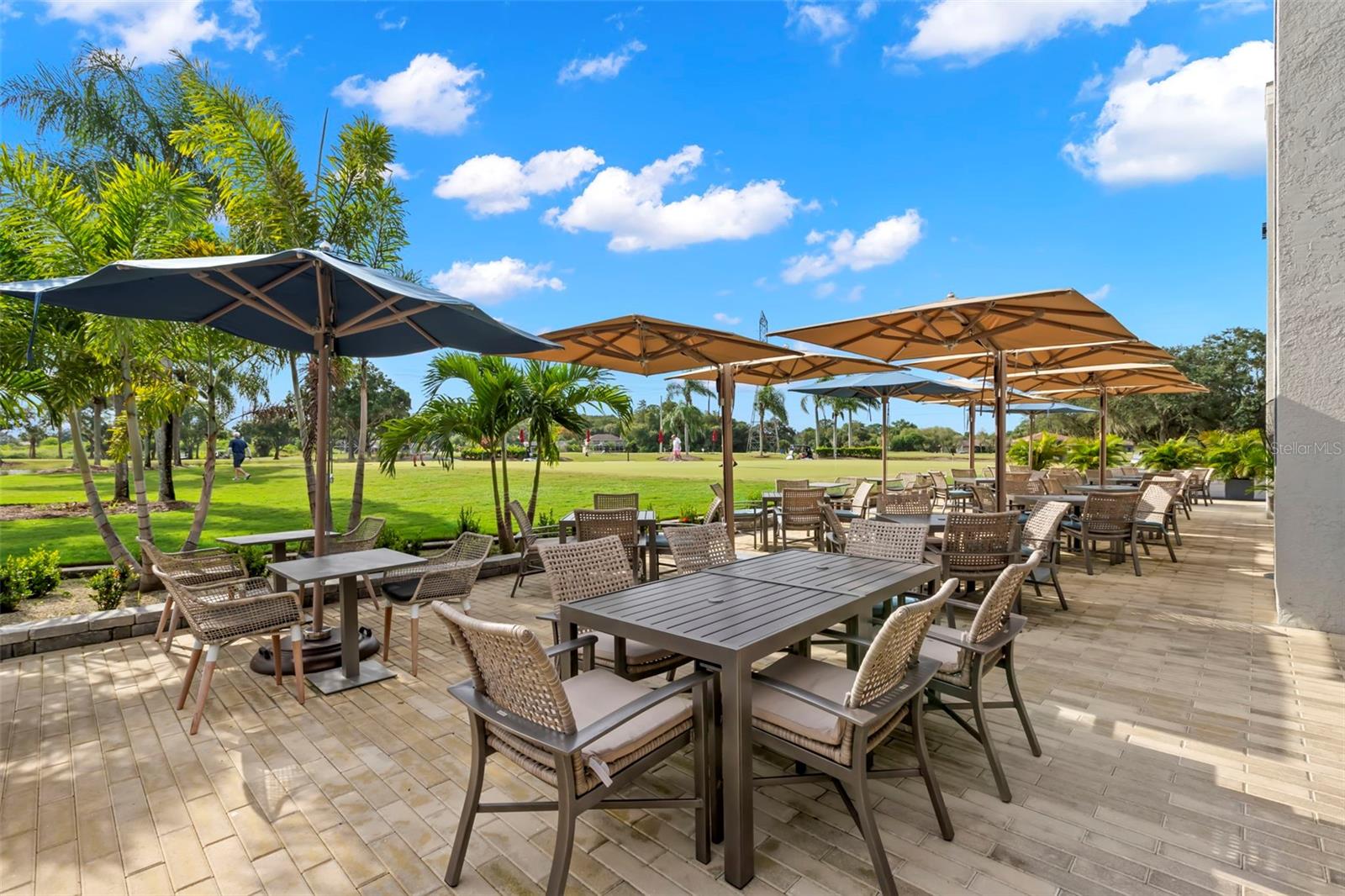 EAST LAKE WOODLANDS CYPRESS ESTATES - Residential