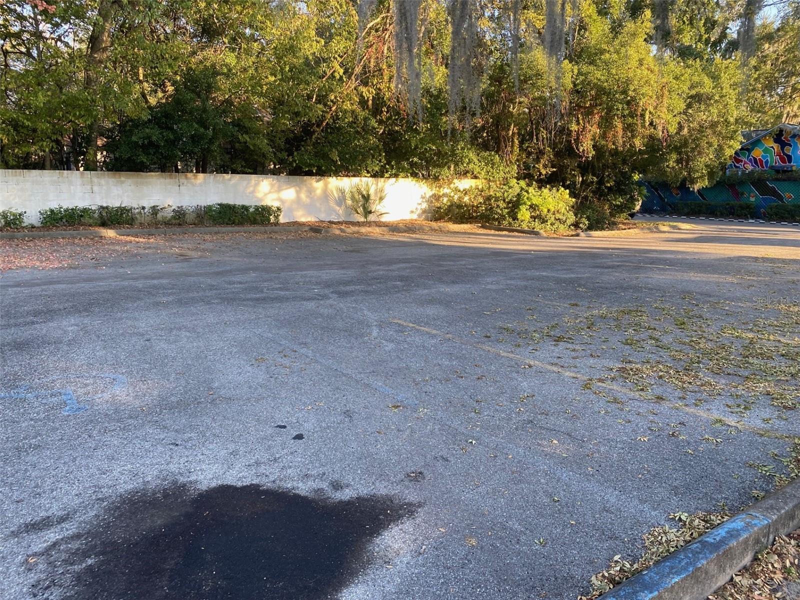 BRUSH ADD TO GVILLE - Commercial Sale