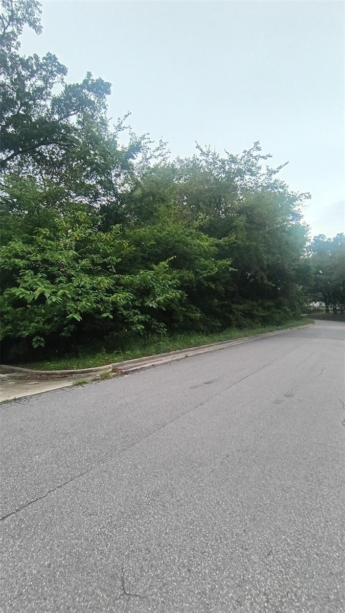 Photo of Tbd SE 106 Court, Belleview, FL 34420 (MLS # OM728491)