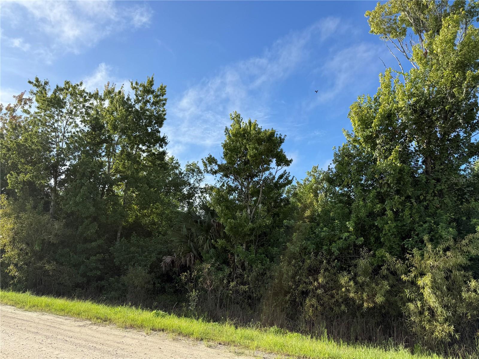 700 SHADY HOLLOW BOULEVARD W
