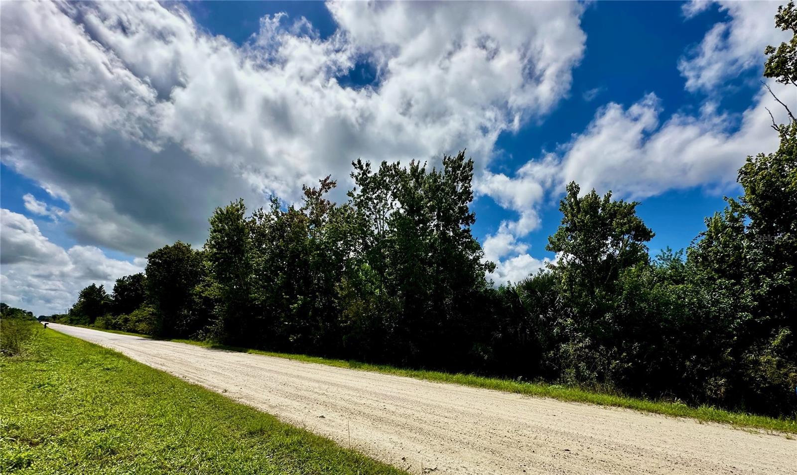 700 SHADY HOLLOW BOULEVARD W