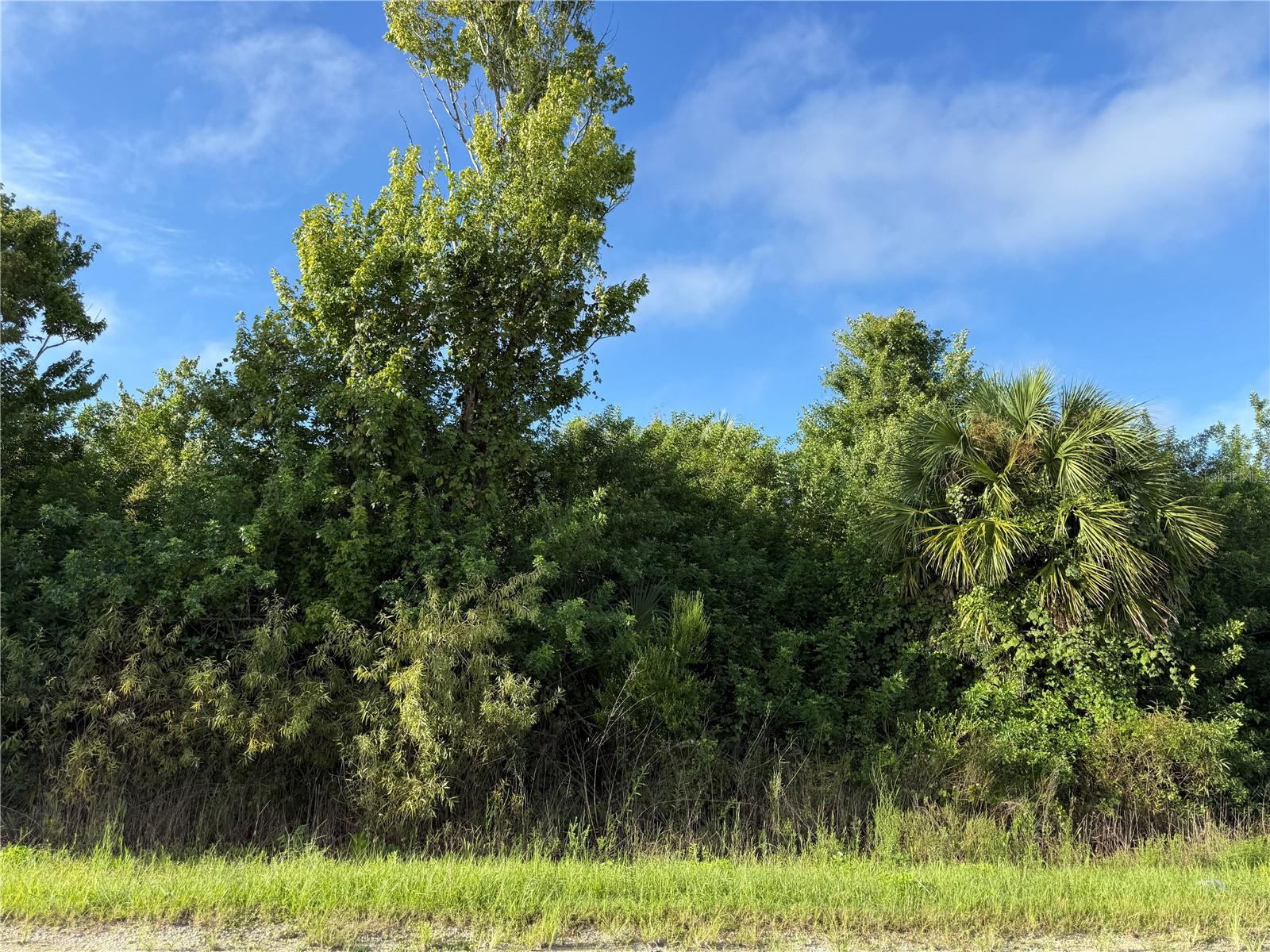 700 SHADY HOLLOW BOULEVARD W